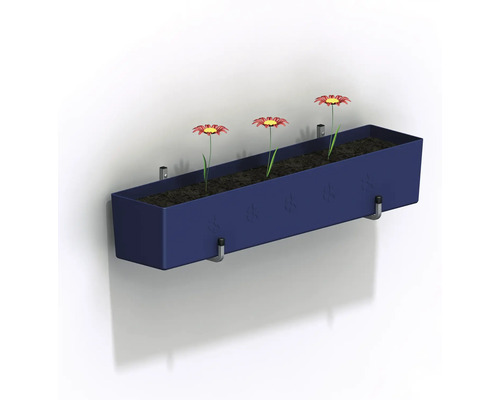Jardinière murale bleue avec trois marguerites rouges