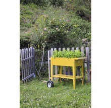 Gelber, mobiler Pflanztisch mit Bepflanzung im Garten.