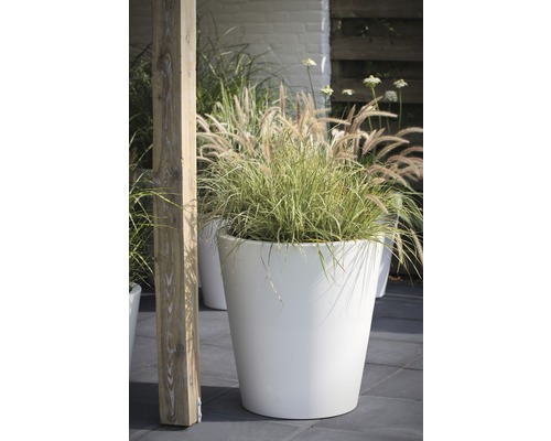 Scène avec un pot de fleurs blanc contenant des graminées ornementales dans le jardin.