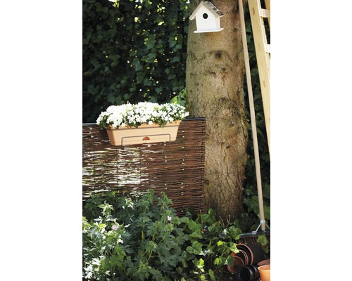 Scène de jardin avec jardinière, clôture en osier, arbre et nichoir