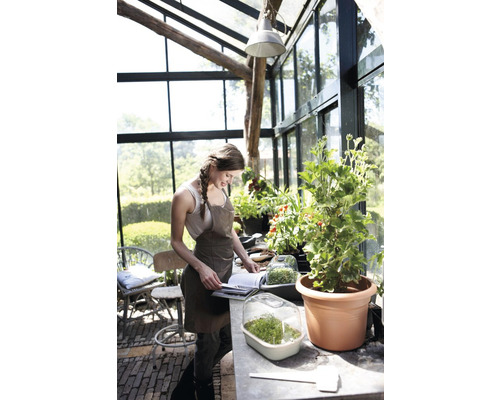 Serre avec femme, plantes et plateaux de semis sur une table.