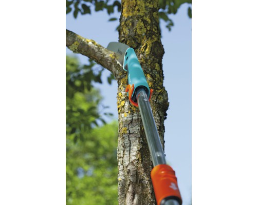 Scie à branches coupant une branche.