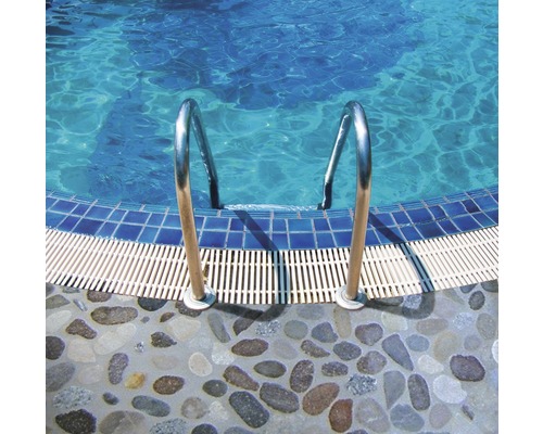 Échelle de piscine en métal avec escalier en pierre menant au bassin