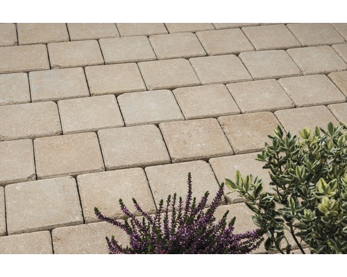 Verlegte Pflastersteine aus Beton mit Pflanzen