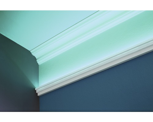 Plafond avec moulure décorative dans la pièce