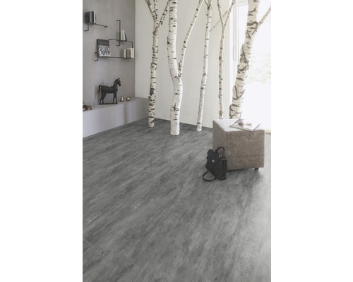 Intérieur avec revêtement de sol gris, troncs de bouleau et décoration