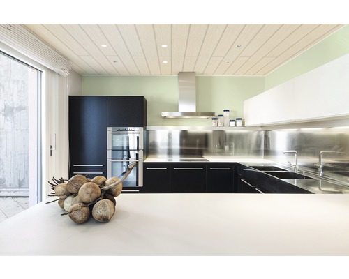 Panneau de décoration Quadro Plus bouleau 12x200x2000 mm Cuisine claire avec évier en acier inoxydable, hotte aspirante et plafond en bois