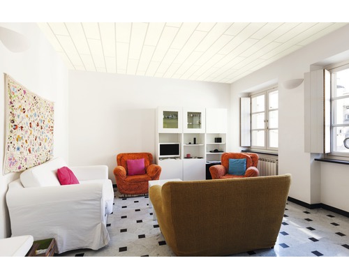 Heller Wohnraum mit Paneeldecke, Sofas, Sesseln und Fenster