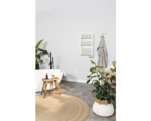 Salle de bain avec baignoire, sèche-serviettes et décorations