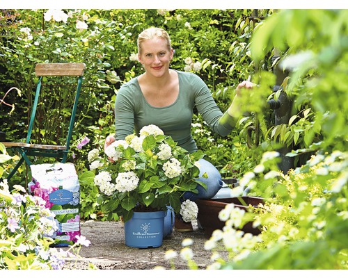 Frau im Garten mit Endless Summer Hortensie im Topf und Blumenerde