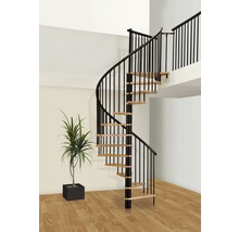 Escalier en colimaçon Pertura Irini hêtre bois lamellé-collé Ø 120 cm noir 12 marches 13 pas de marche-thumb-0