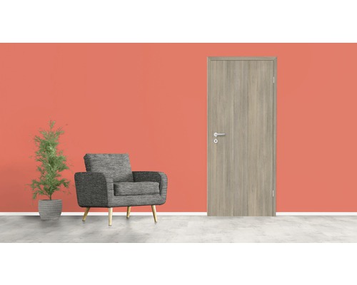 Helle Innentür in einem Wohnraum mit Sessel und Topfpflanze