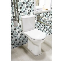 WC sur pied blanc avec barres d''appui dans salle de bain