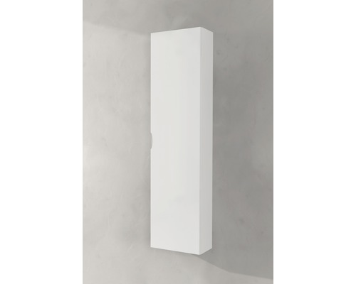 Hochformatiger Badezimmerschrank zur Wandmontage.