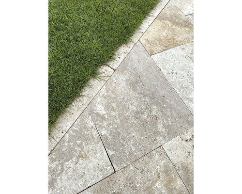 Chemin de jardin avec dalles en pierre naturelle et pelouse