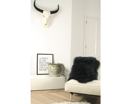 Salon avec bois de cerf, coussin décoratif, plante en pot, décoration et porte blanche