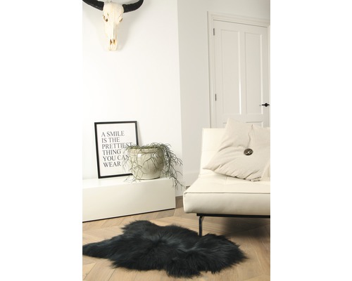 Salon avec tapis, canapé, plante d''intérieur, décoration et décoration murale.