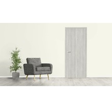 Wohnraum mit Tür, Sessel und Pflanze im Topf