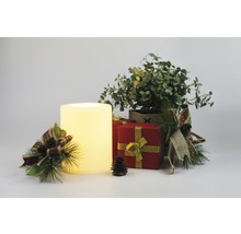 Arrangement décoratif avec bougie LED, cadeaux et plante