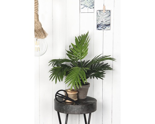 Dekorative Szene mit Zimmerpflanze, Garnrolle und Schere auf einem Tisch