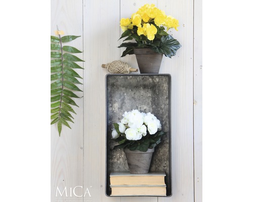 Dekorative Wandgestaltung mit Blumen in Töpfen, aufbewahrt in einem Metallregal.