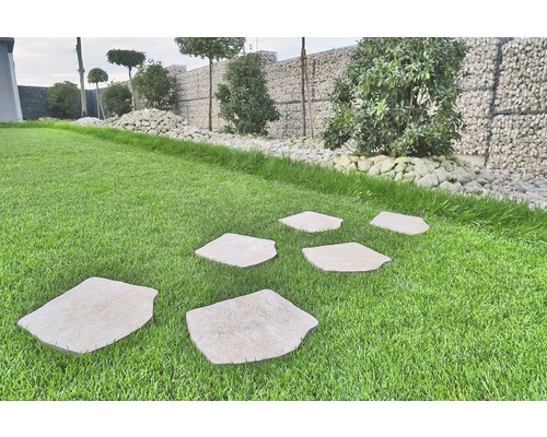 Chemin de jardin en dalles de pierre naturelle dans la pelouse