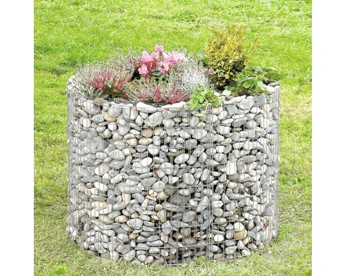 Jardinière surélevée en gabion bellissa Ø 126/146 x 80 cm Jardinière en gabion avec des plantes sur une pelouse