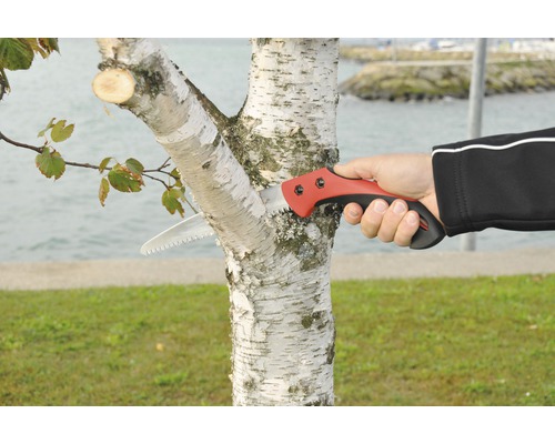 Personne coupant une branche avec une scie à main