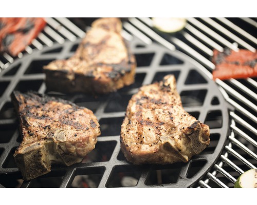 Viande et légumes sur un barbecue