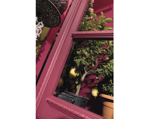 Pièce décorative avec citronnier en pot et moulures