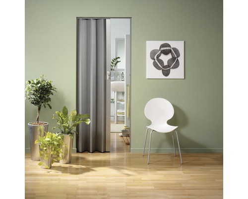 Raumszene mit Falttür, Zimmerpflanzen und Stuhl