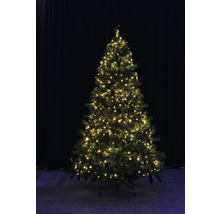 Arbre de Noël décoré avec des lumières
