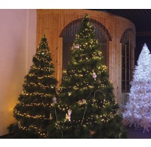 Scène avec plusieurs sapins de Noël décorés dans une pièce.