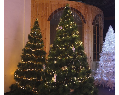 Scène avec plusieurs sapins de Noël décorés dans une pièce.
