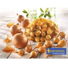 Zwiebeln und Zwiebelsaatgut in einem Netz mit Kiepenkerl Logo