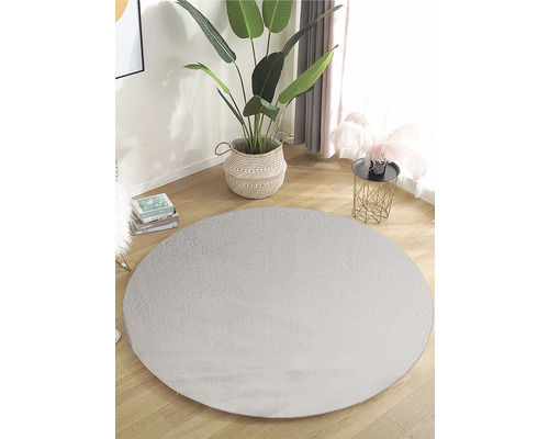 Tapis rond dans le salon avec plante d''intérieur et table d''appoint