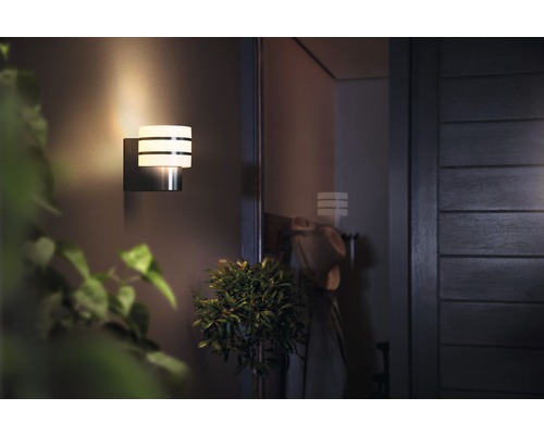 Applique murale pour éclairage extérieur avec éléments lumineux décoratifs