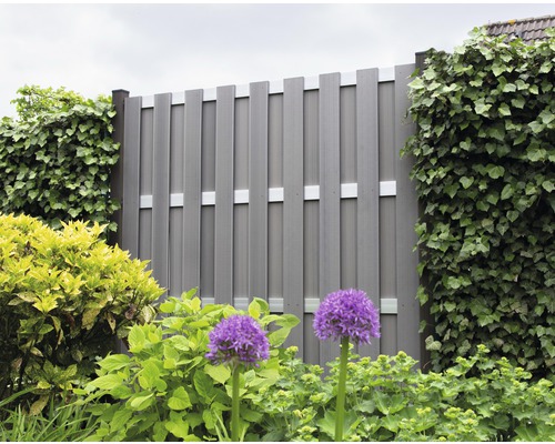 Vue du jardin avec pare-vue gris et plantes