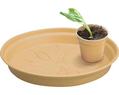 Soucoupe pour plantes en plastique avec pot et plante