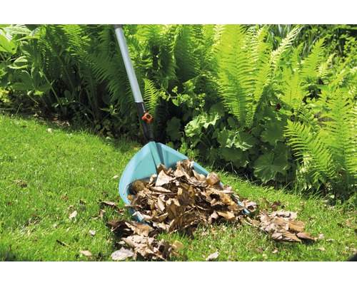 Jardin avec râteau à feuilles et feuilles d''automne