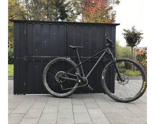 Vélo devant un abri de jardin