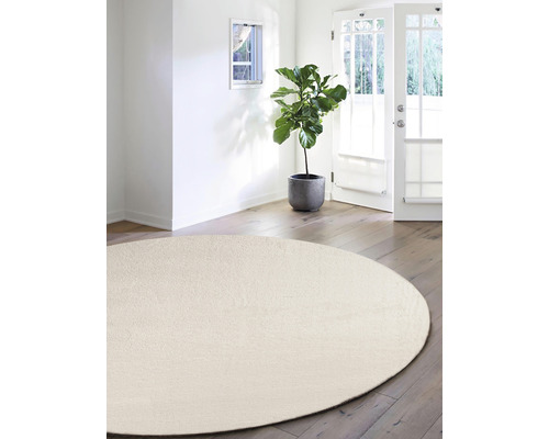 Tapis rond et clair dans une pièce lumineuse avec parquet et plante d''intérieur