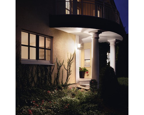 Façade de maison avec éclairage extérieur, fenêtre et verdure