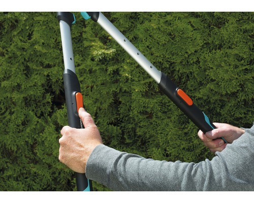 Zwei Hände bedienen eine Gartenschere vor einem grünen Busch.