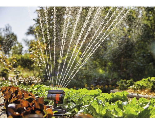 Gartenbewässerung mit Vielflächenregner über Gemüsepflanzen