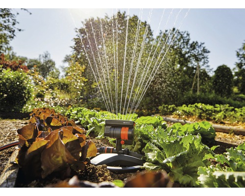 Gardena Regner im Einsatz zur Bewässerung von Salatpflanzen im Garten