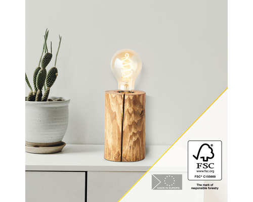 Lampe de table 1 ampoule HxØ 15x10 cm Trabo pin teintée avec interrupteur à câble Lampe de table en bois avec ampoule et cactus en pot