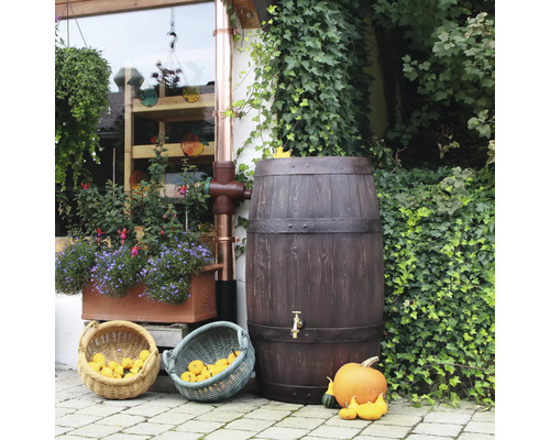 Regentonne in Holzoptik mit Fallrohranschluss und Kürbissen im Garten