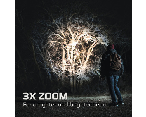 Person im Dunkeln beleuchtet mit einer Taschenlampe einen Baum mit 3-fach Zoom für einen helleren Lichtstrahl
