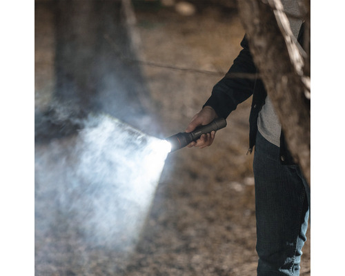 Eine Person hält eine Taschenlampe in der Hand, die einen Lichtstrahl erzeugt.